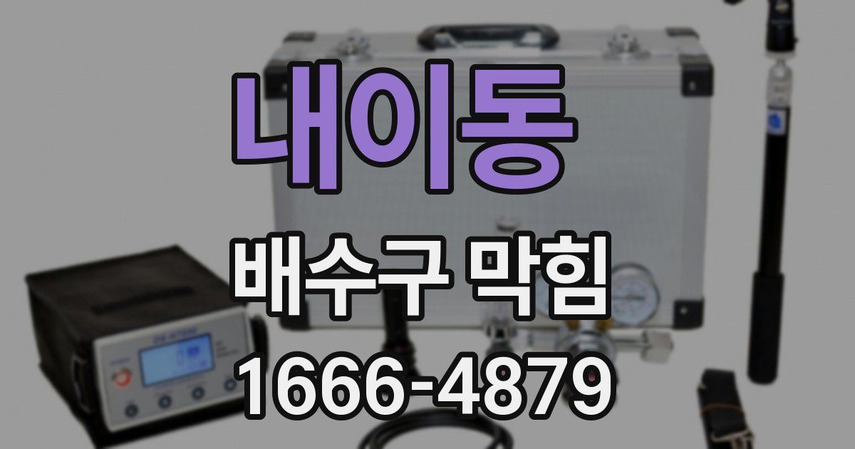 내이동 배수구 막힘