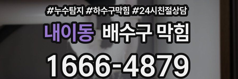 내이동 배수구 막힘