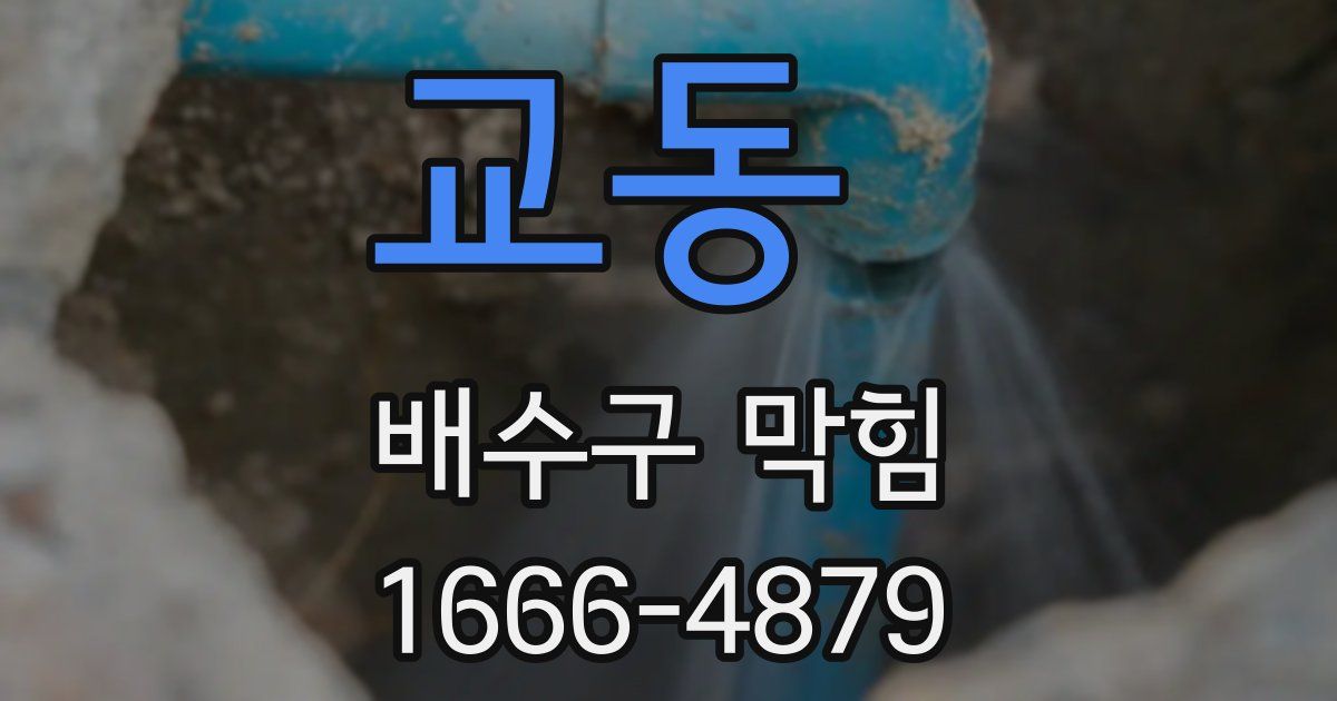 교동 배수구 막힘