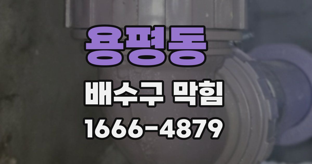 용평동 배수구 막힘