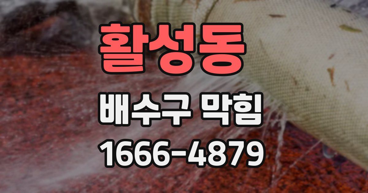 활성동 배수구 막힘