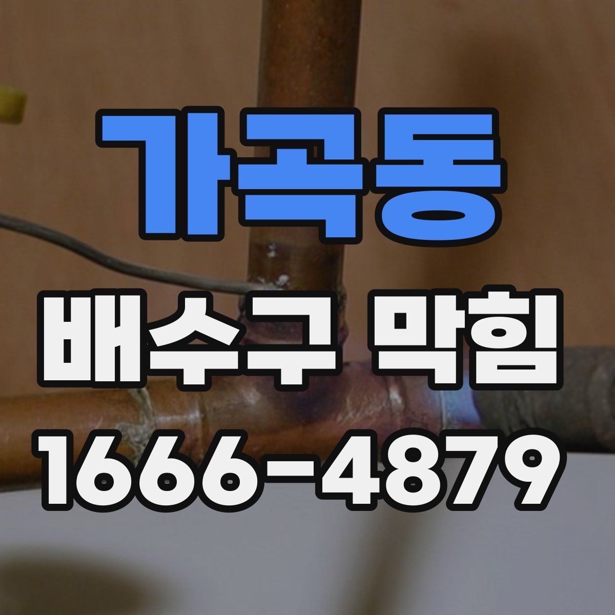 가곡동 배수구 막힘