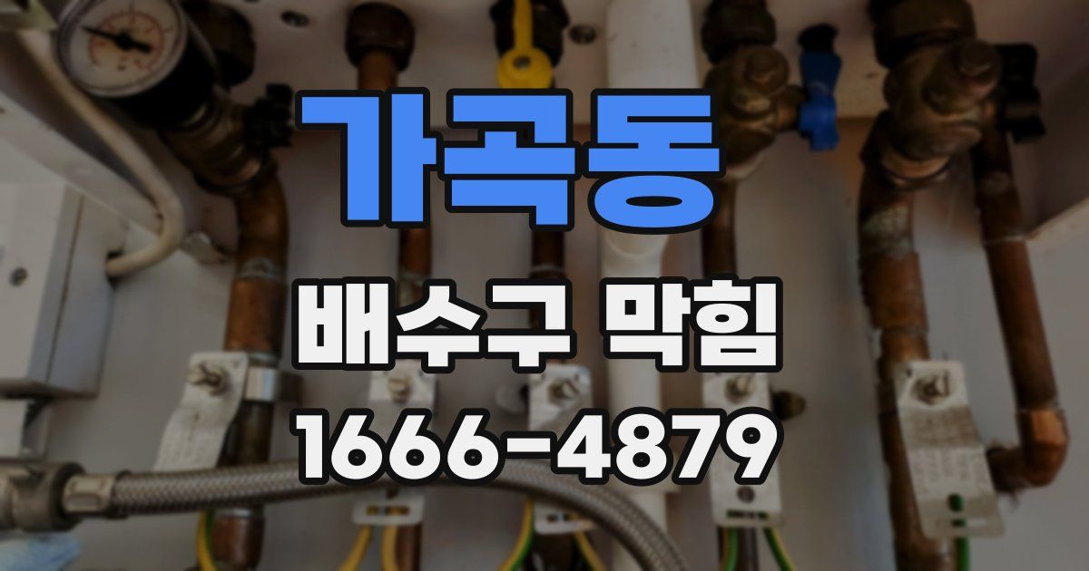 가곡동 배수구 막힘