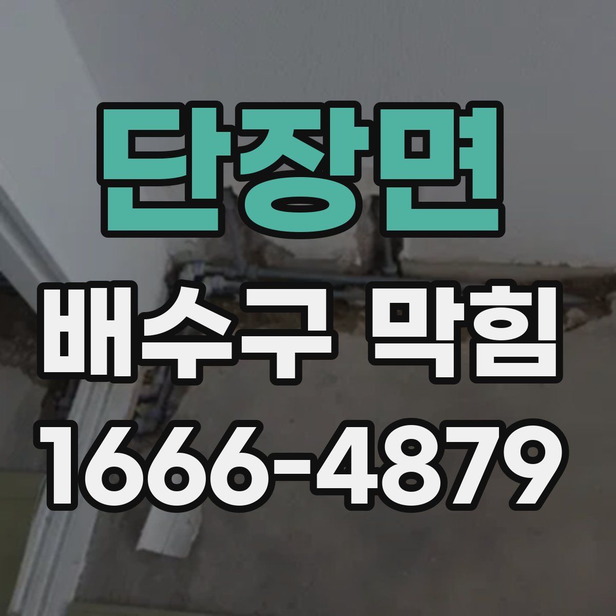 단장면 배수구 막힘