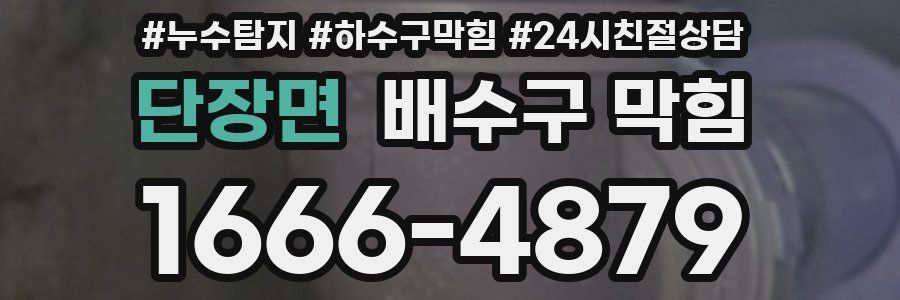 단장면 배수구 막힘