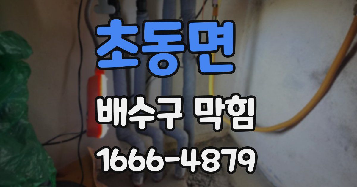 초동면 배수구 막힘