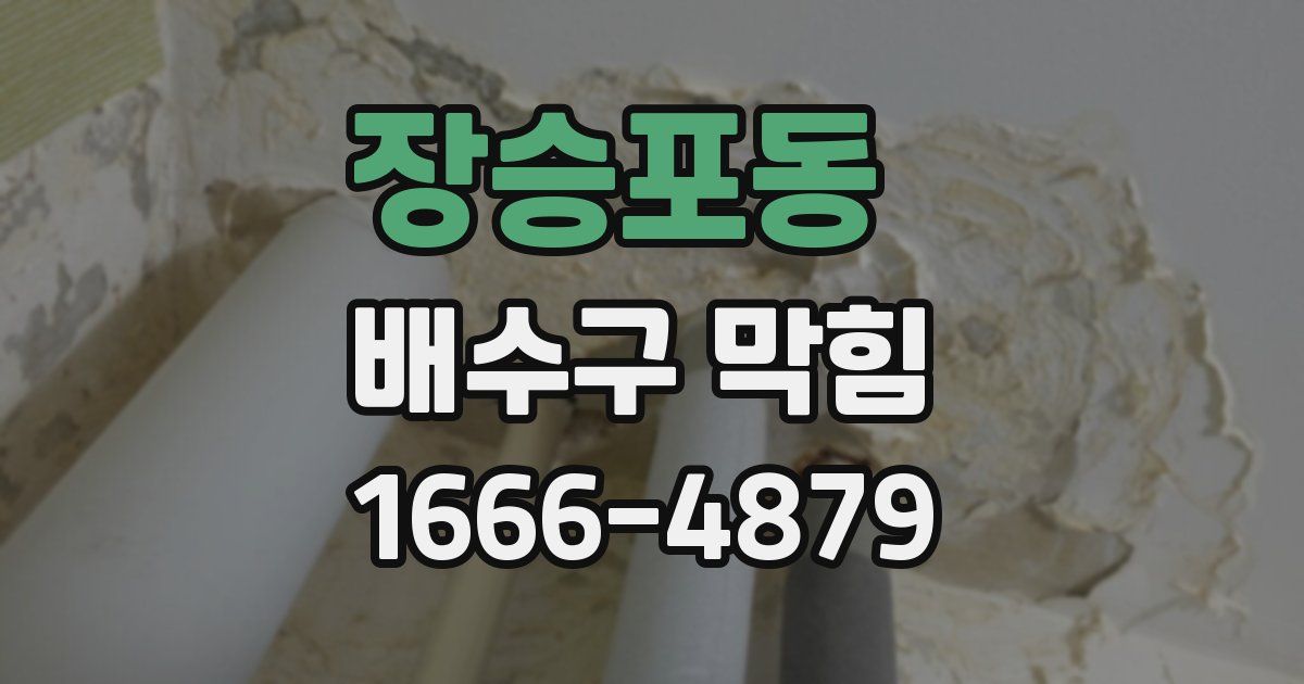 장승포동 배수구 막힘