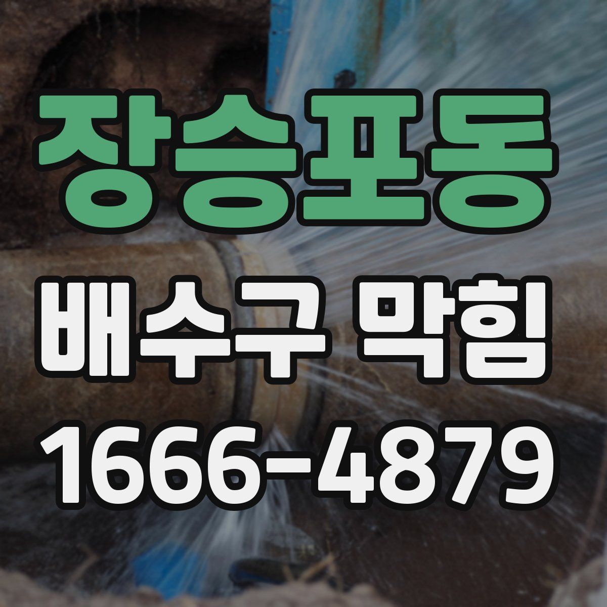 장승포동 배수구 막힘
