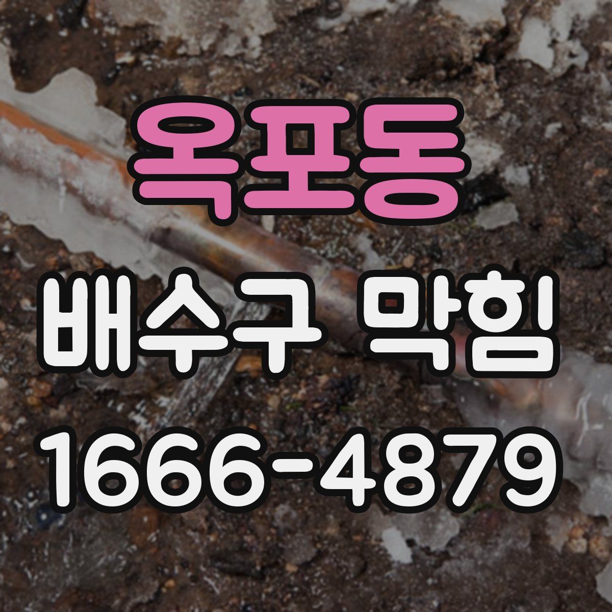옥포동 배수구 막힘