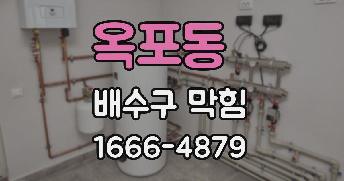 옥포동 배수구 막힘