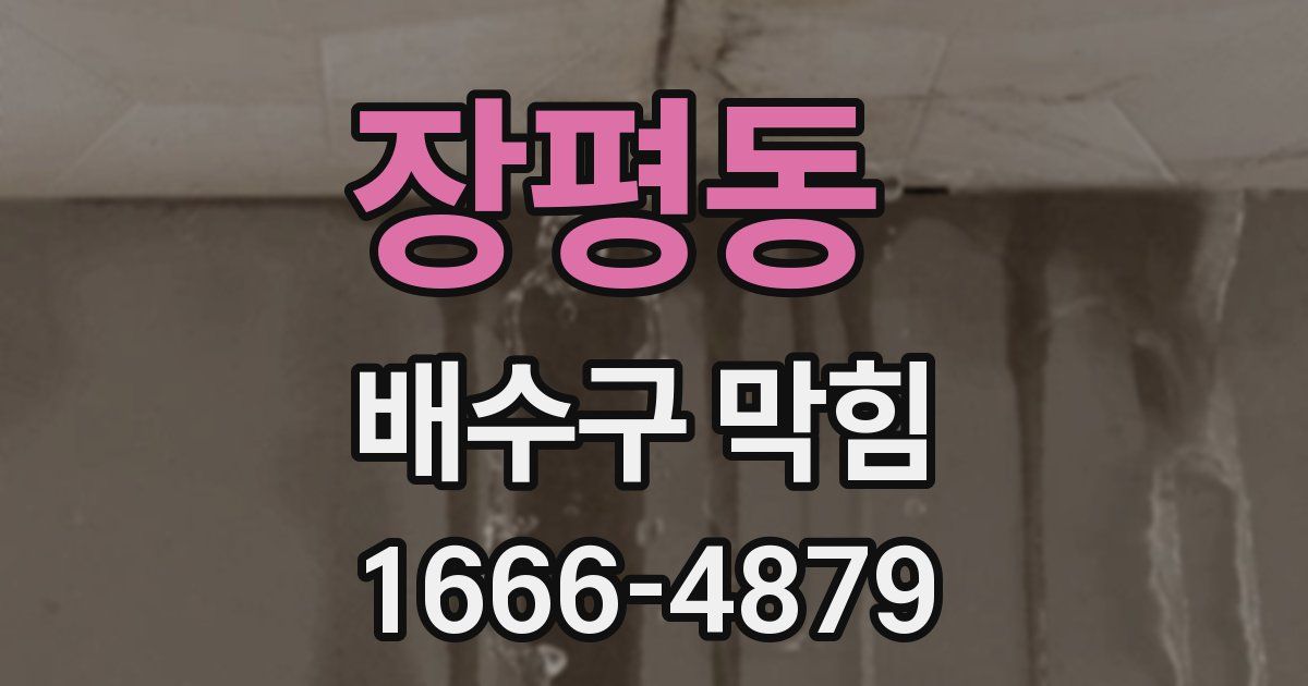 장평동 배수구 막힘