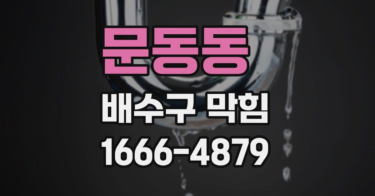문동동 배수구 막힘