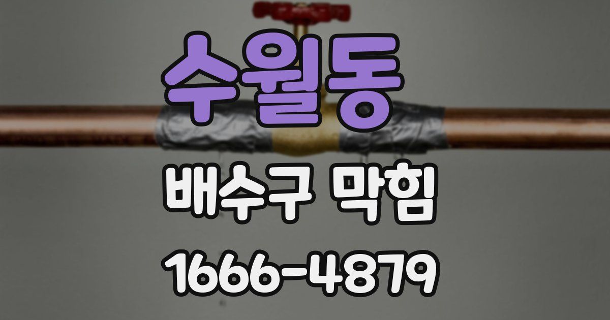 수월동 배수구 막힘