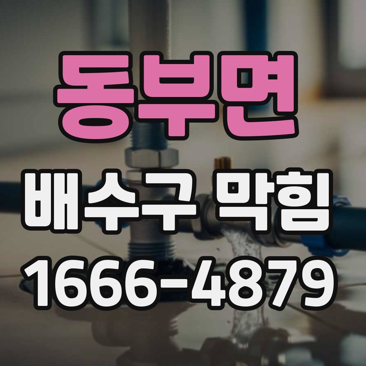 동부면 배수구 막힘