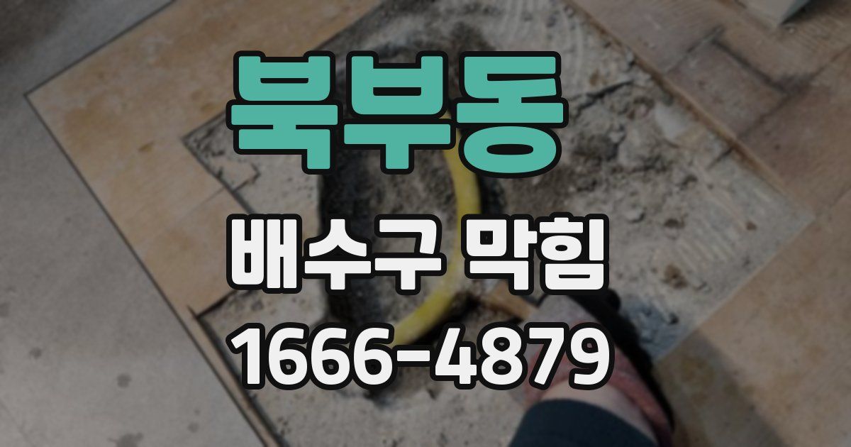 북부동 배수구 막힘