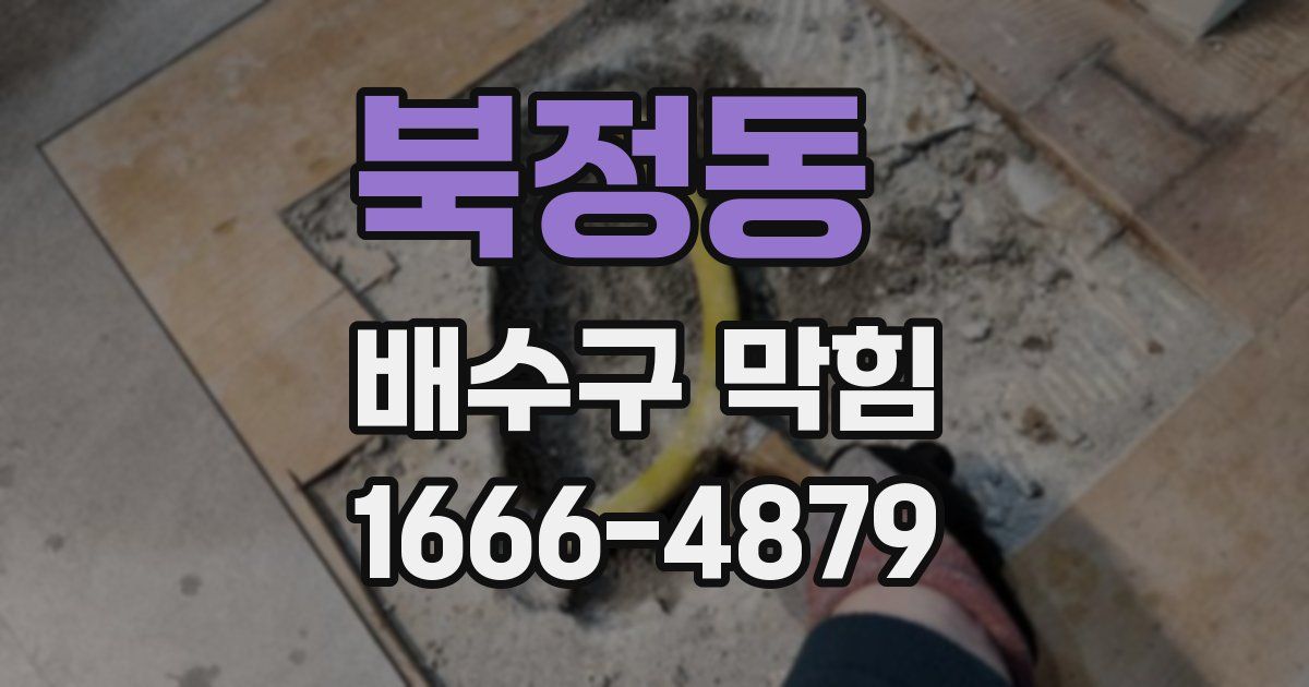 북정동 배수구 막힘