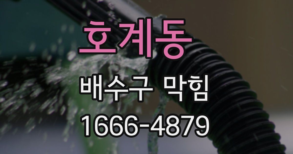 호계동 배수구 막힘