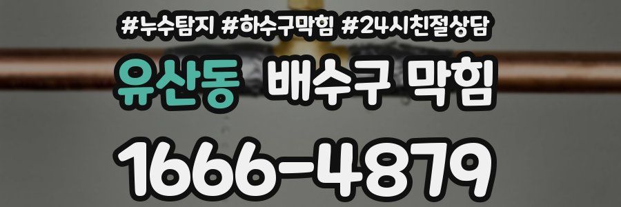유산동 배수구 막힘