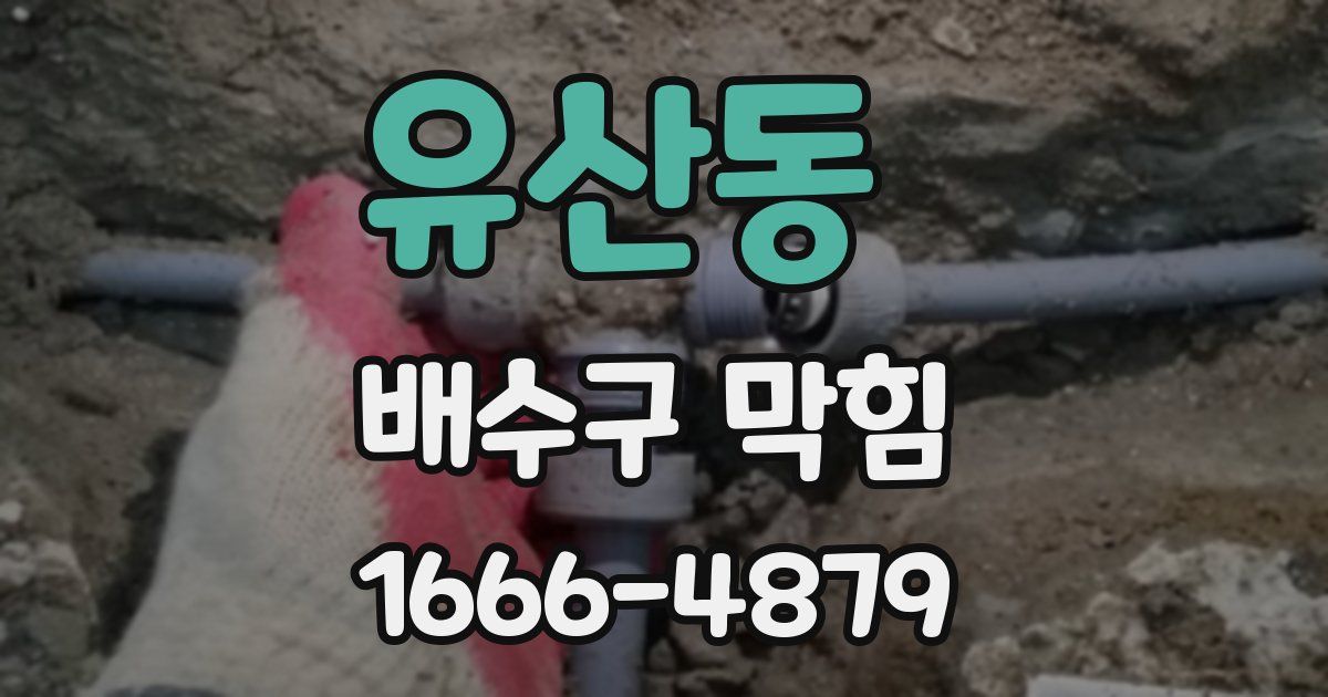 유산동 배수구 막힘