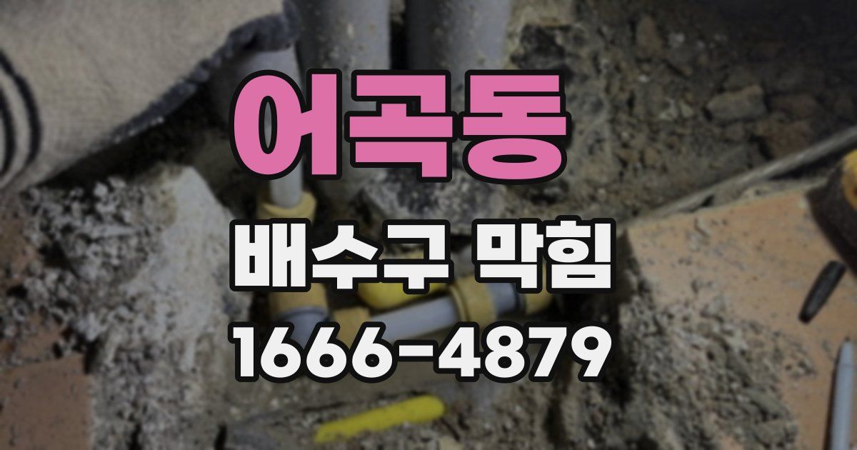 어곡동 배수구 막힘