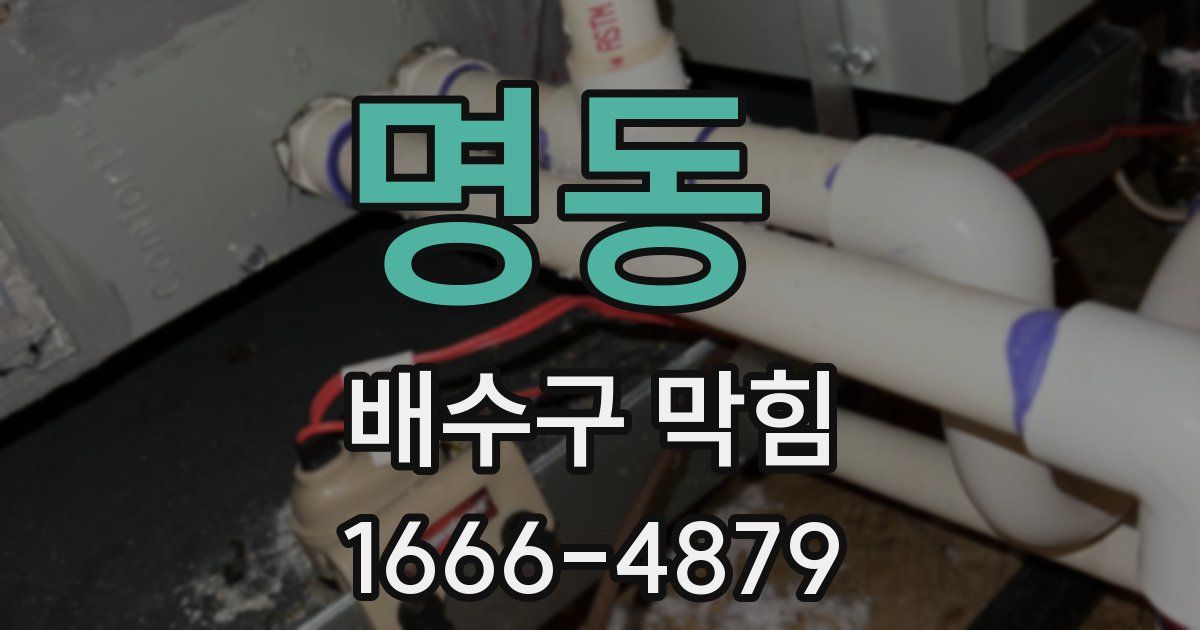 명동 배수구 막힘