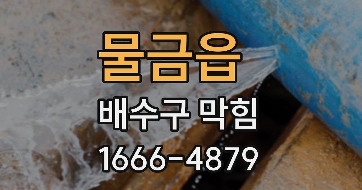 물금읍 배수구 막힘