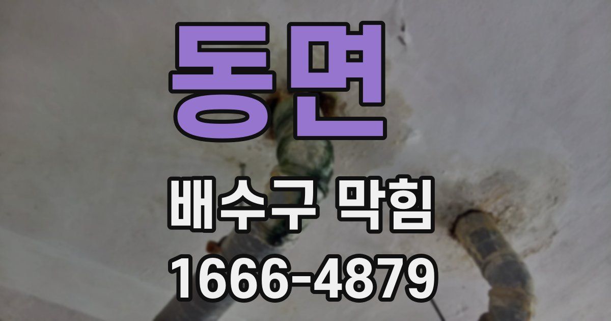 동면 배수구 막힘