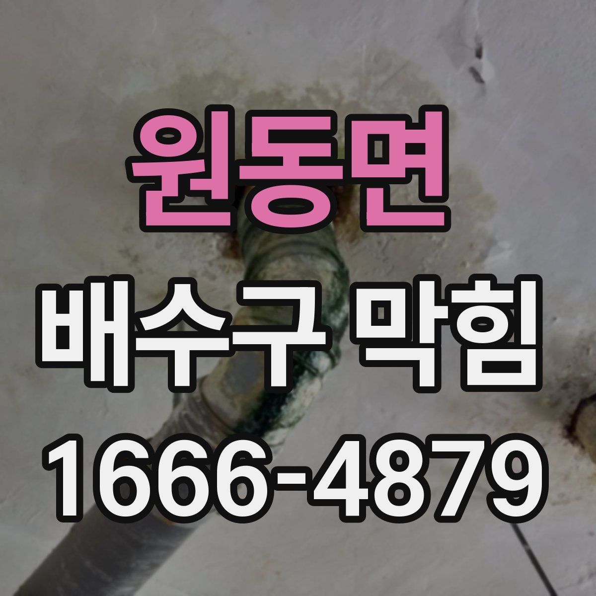 원동면 배수구 막힘