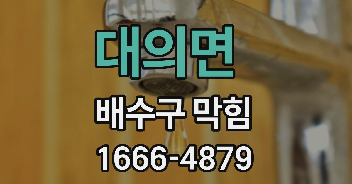 대의면 배수구 막힘