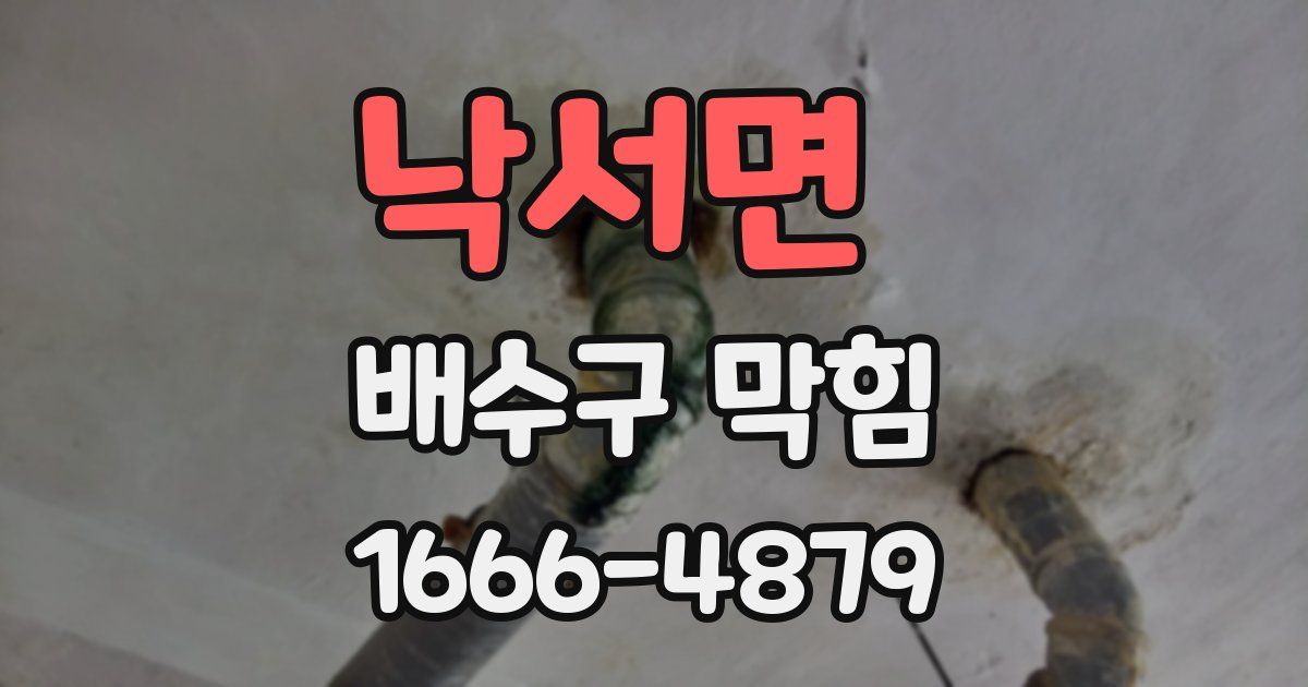 낙서면 배수구 막힘