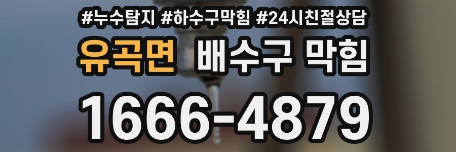 유곡면 배수구 막힘