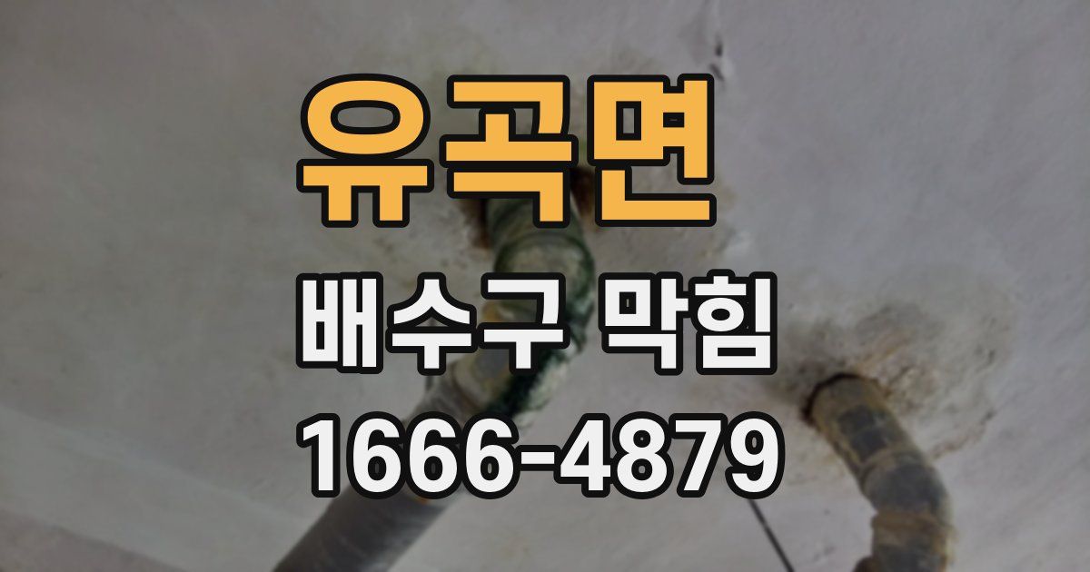 유곡면 배수구 막힘