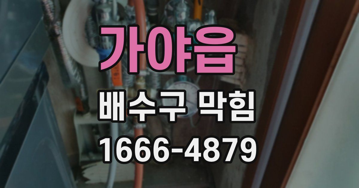 가야읍 배수구 막힘