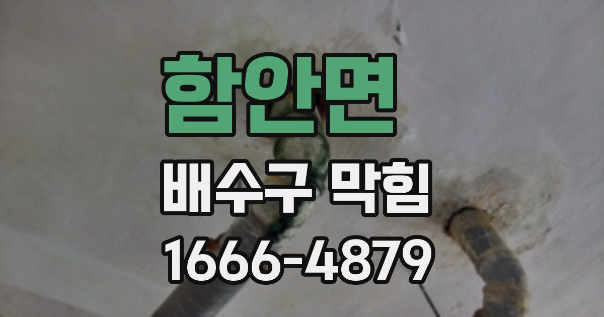 함안면 배수구 막힘