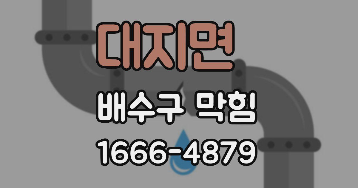 대지면 배수구 막힘