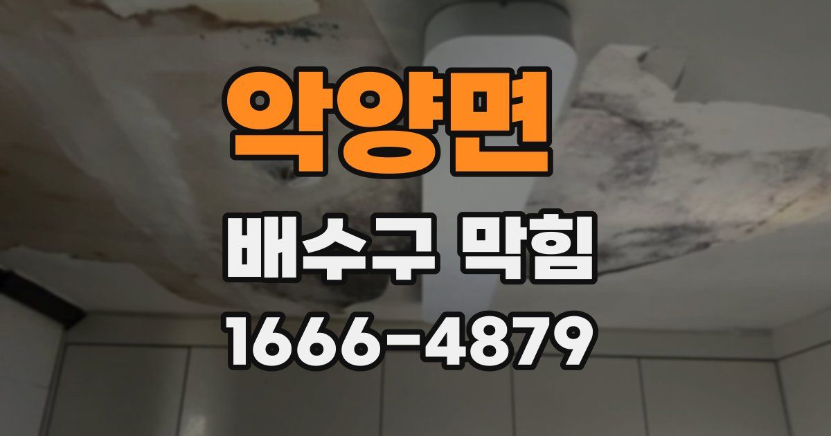 악양면 배수구 막힘
