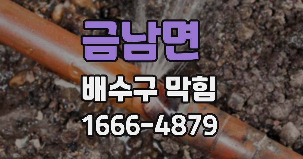 금남면 배수구 막힘