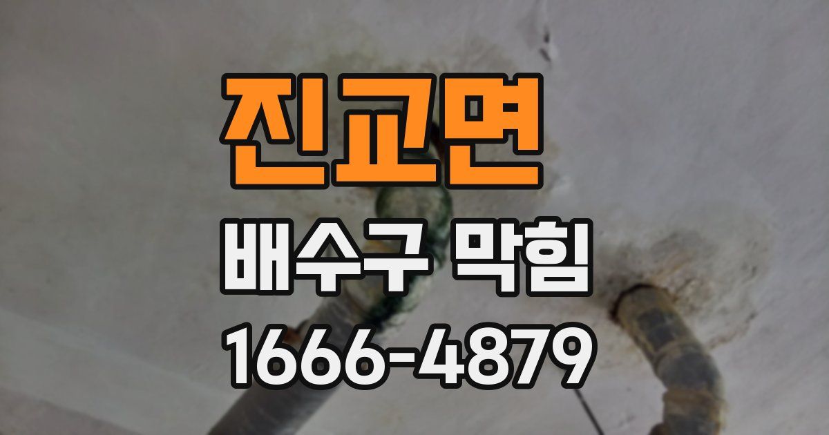진교면 배수구 막힘
