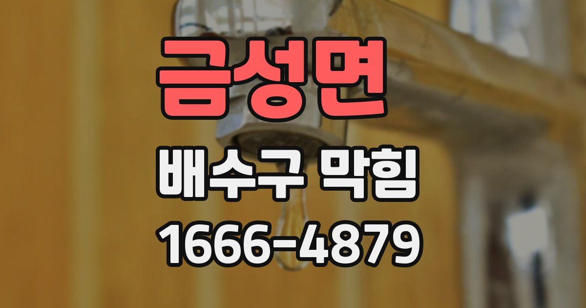금성면 배수구 막힘
