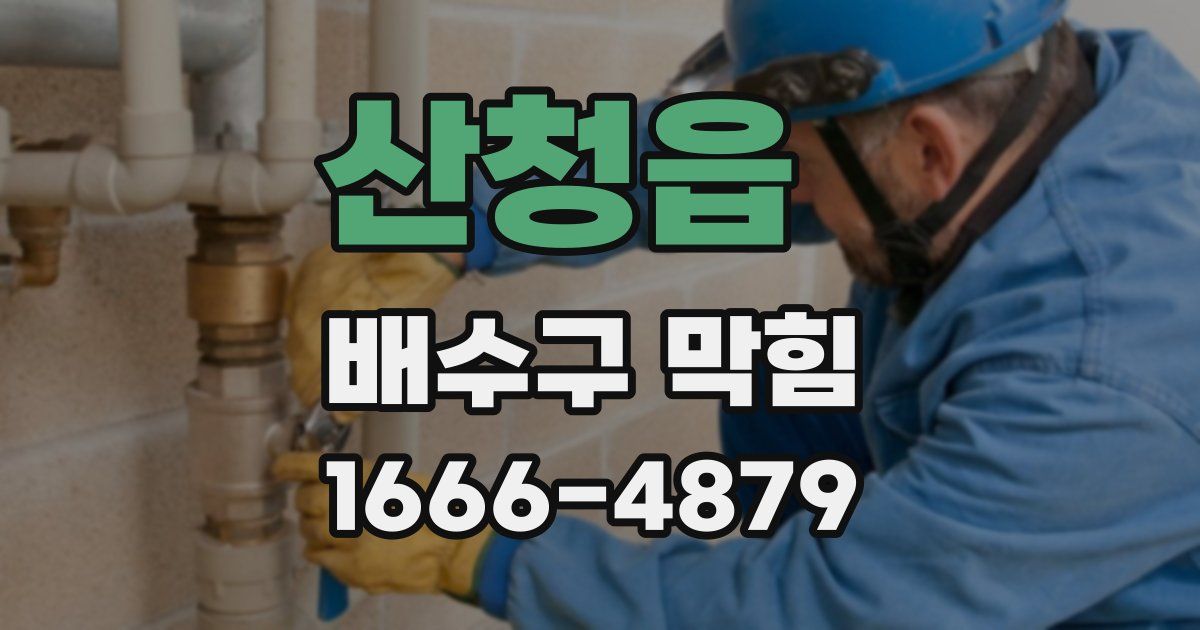 산청읍 배수구 막힘