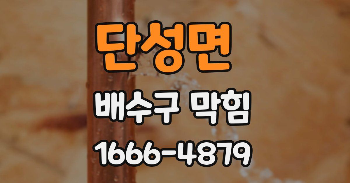 단성면 배수구 막힘