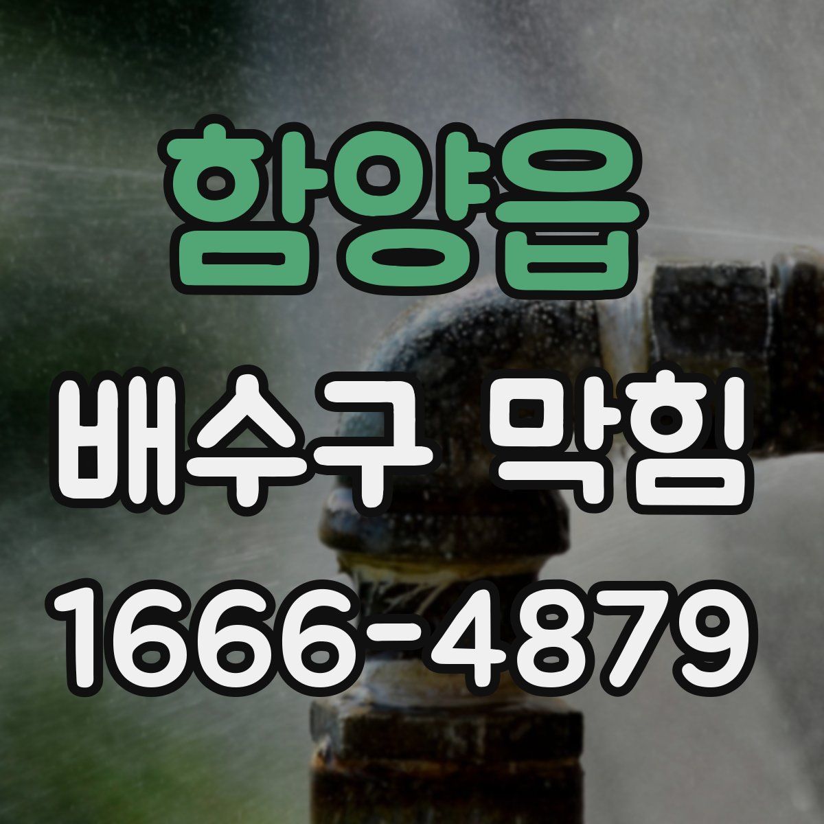 함양읍 배수구 막힘