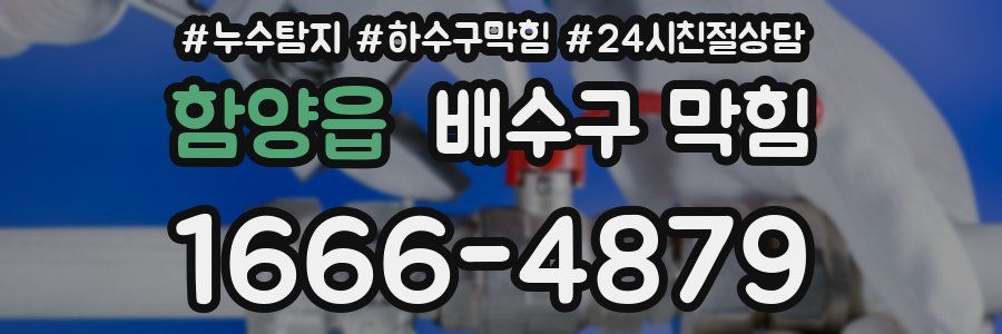 함양읍 배수구 막힘