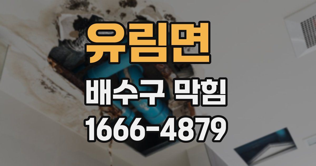 유림면 배수구 막힘