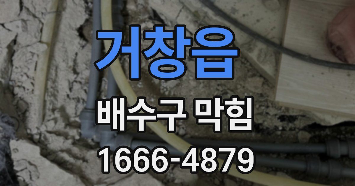 거창읍 배수구 막힘