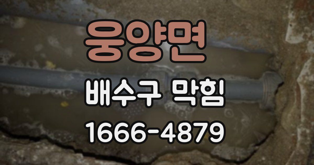 웅양면 배수구 막힘