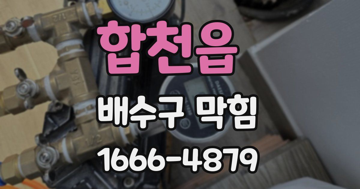 합천읍 배수구 막힘