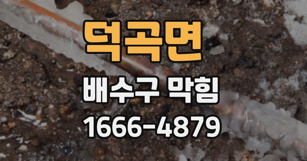 덕곡면 배수구 막힘