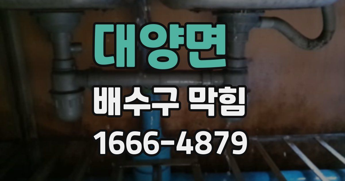 대양면 배수구 막힘