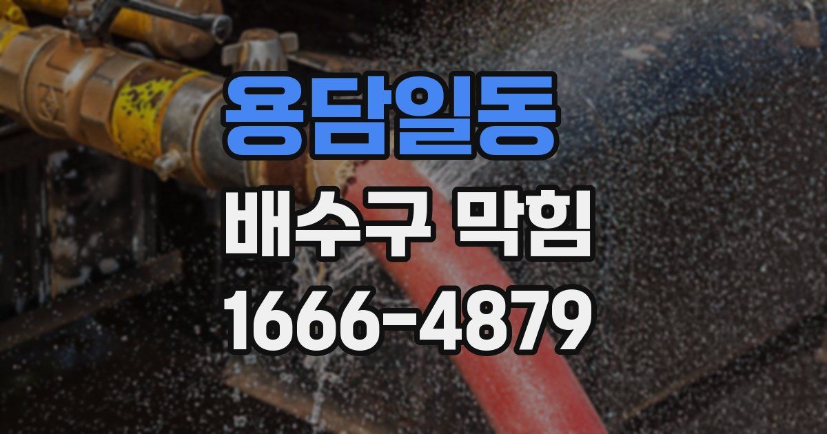 용담일동 배수구 막힘